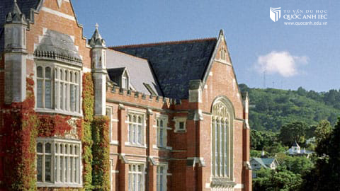 Học tập tại Wellington thành phố tốt nhất thế giới, tại sao không? 4