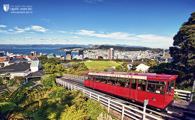 Học tập tại Wellington thành phố tốt nhất thế giới, tại sao không? 1