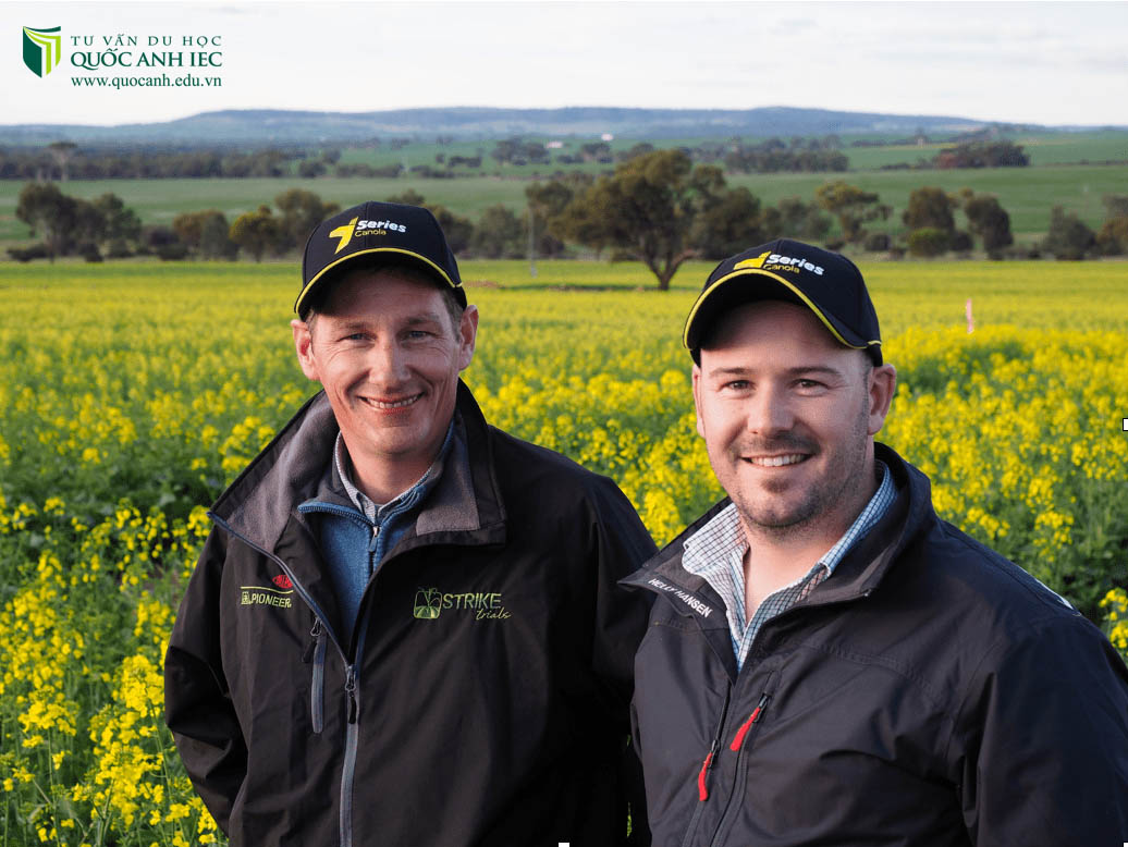  Úc là dân tộc rất chăm chỉ