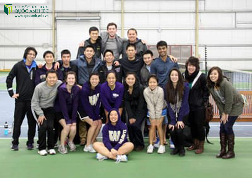  Nếu không biết nhiều thì ít nhất cũng phải là chuyên gia trong lĩnh vực nào đó