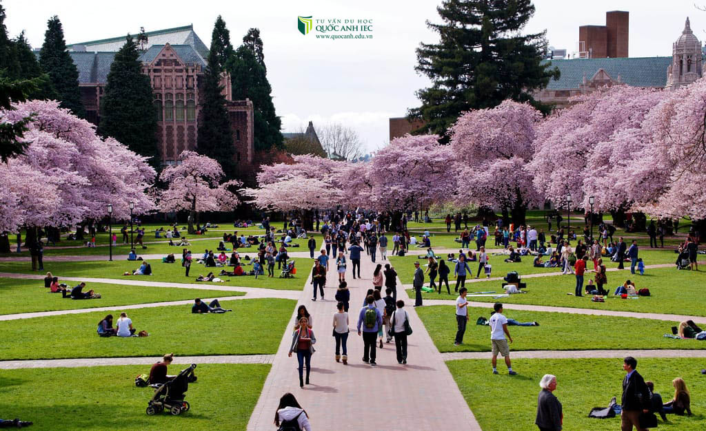 Sở thích riêng của từng người sẽ tạo dấu ấn riêng, do vậy đừng ngại thể hiện