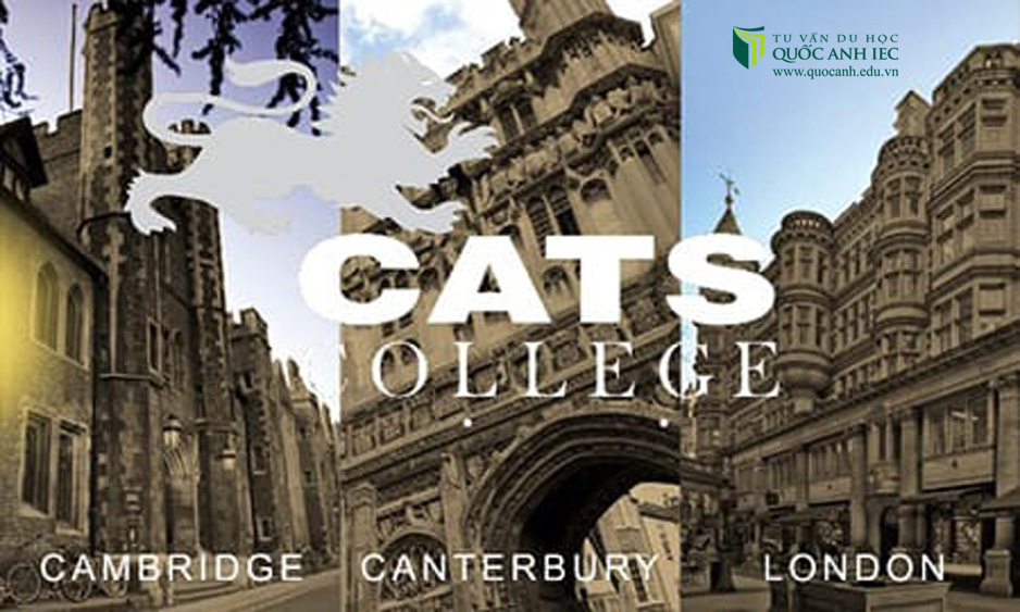 Học bổng 50% từ CATS College