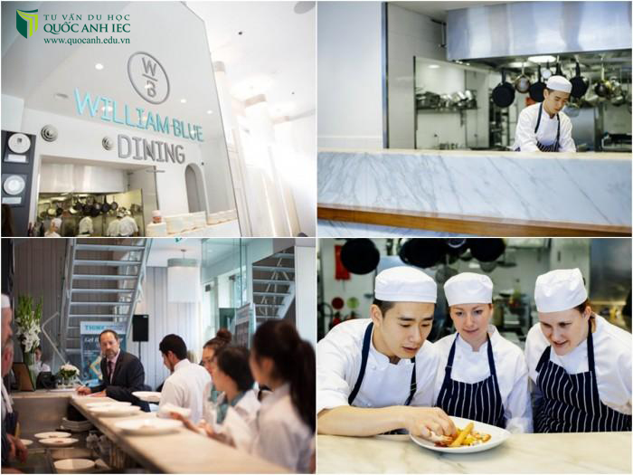 William Blue – ngôi trường đáng mơ ước của nhiều sinh viên