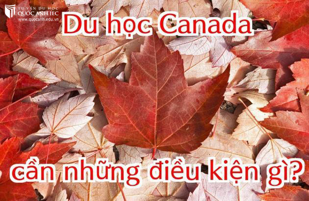 Đáp ứng độ tuổi và trình độ học vấn khi du học Canada
