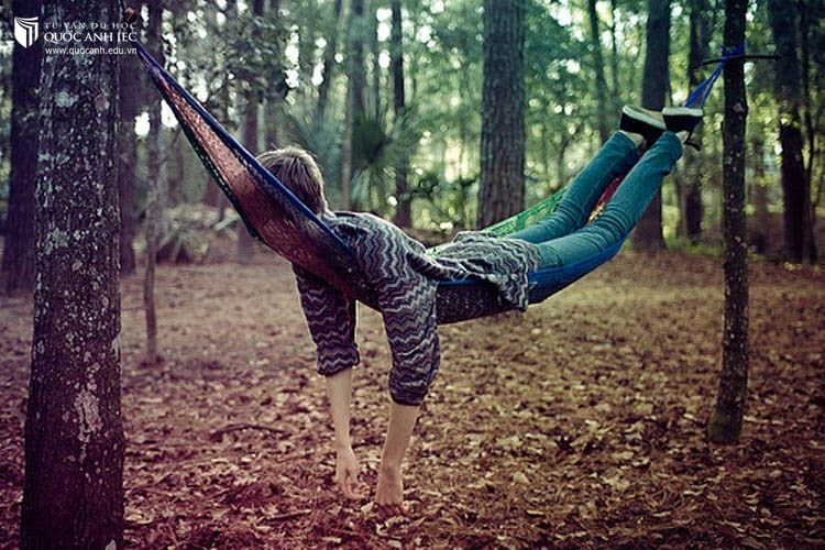 Tuýp người nên “nhường vé” du học cho những người khác 1