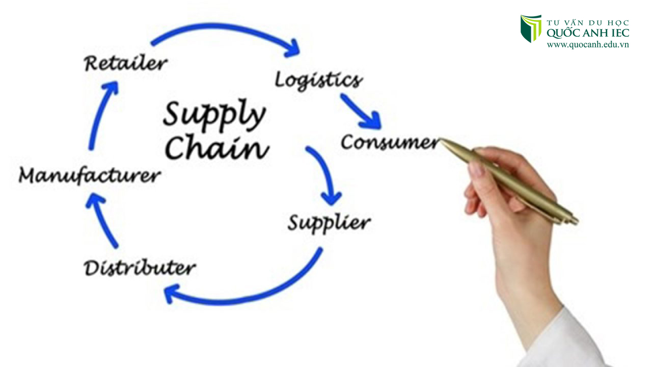 logistics và Supply Chain khác nhau như thế nào