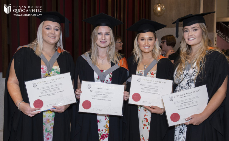 Lam viec nhom cua sinh vien Lincoln