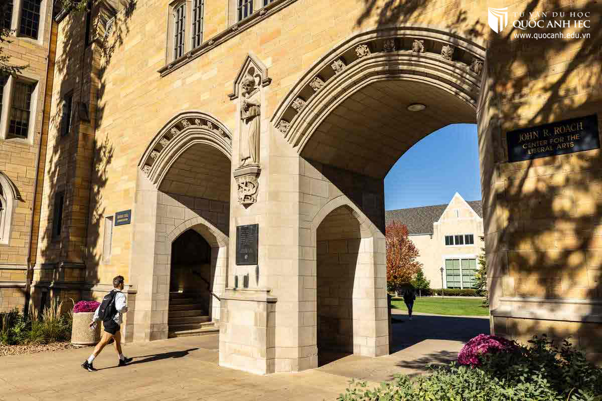 Đại học University of St.Thomas