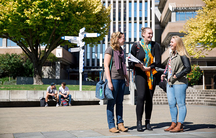 Hơn 350 suất học bổng từ Đại học Massey, New Zealand