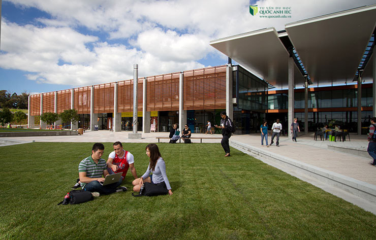 Hơn 350 suất học bổng từ Đại học Massey, New Zealand