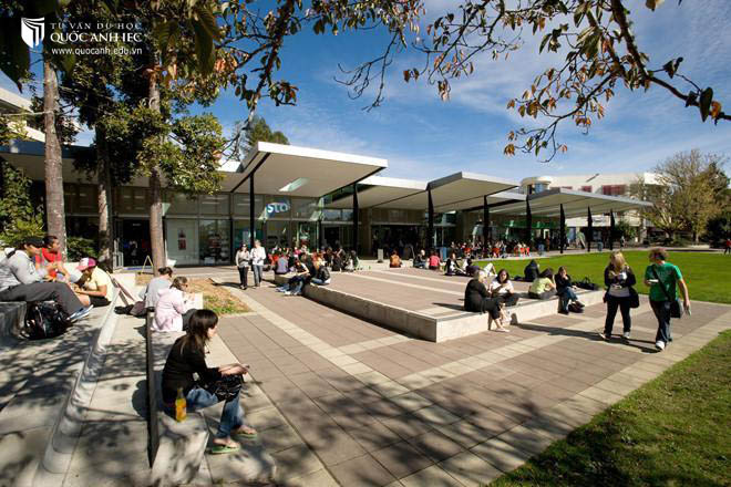 Đại học Waikato