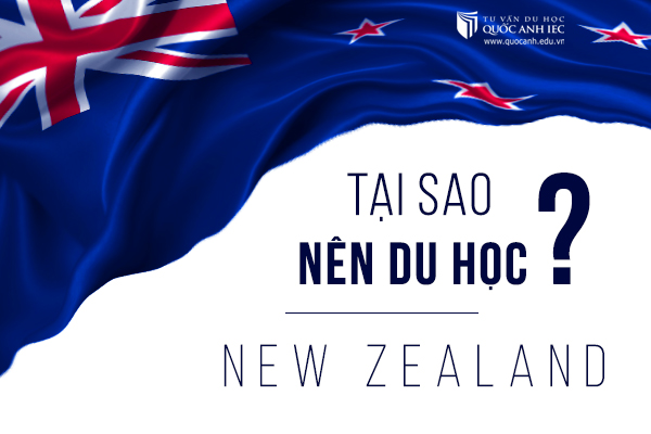 Du học New Zealand ngành MBA là lựa chọn hoàn hảo