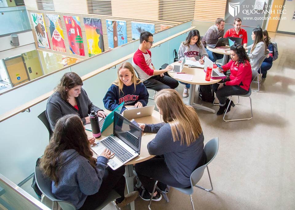 Xin visa du học Canada mất bao lâu? 2