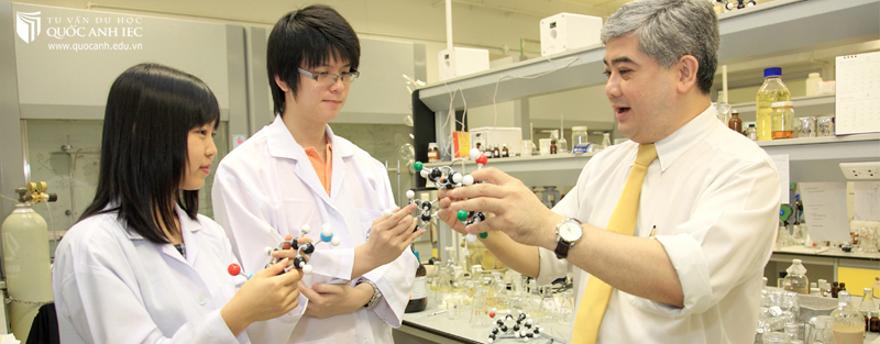 Top 3 ngành học du học được lựa chọn nhiều nhất tại Nhật