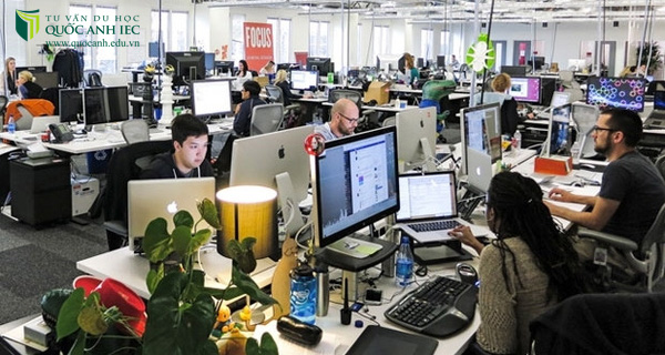 Top 3 ngành học du học được lựa chọn nhiều nhất tại Nhật