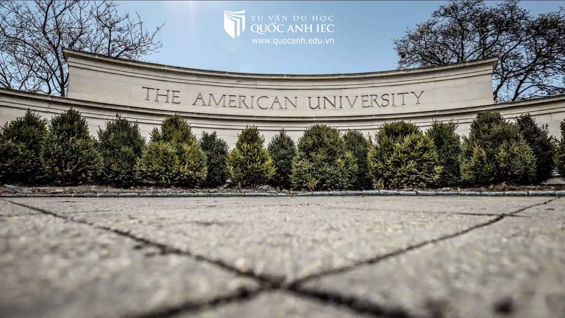 American University