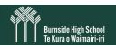 Burnside High School