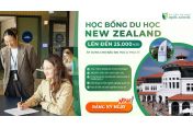 Cơ hội nhận học Bổng New Zealand Up To NZD 25,000 từ Massey University 2027 