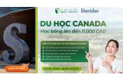 Sheridan College - Chọn điểm đến, mở lối sáng tạo & chinh phục sự nghiệp toàn cầu tại Canada 